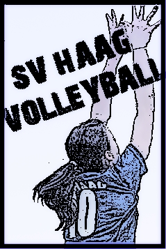 volleyballskizze.jpg